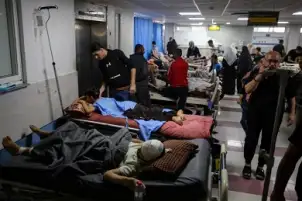 فيديو.. قطة تنهش جثمان أحد شهداء مجزرة دهس خيام النازحين بمستشفى كمال عدوان بغزة