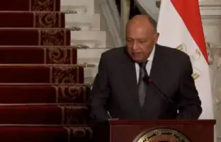 وزير الخارجية يطالب مجلس الأمن بسرعة التصديق على قرار إدخال المساعدات لغزة