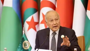 أبو الغيط: قرار مجلس الأمن جاء متأخرا ووقف إطلاق النار ما زال الهدف