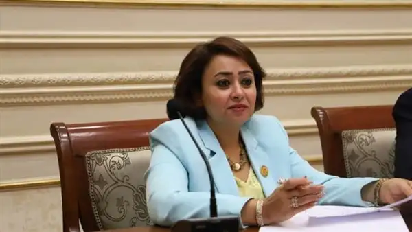 أمين سر «حقوق الإنسان» بالشيوخ: نرفض التهجير القسري للفلسطنيين ولن نسمح بتصفية القضية الفلسطينية