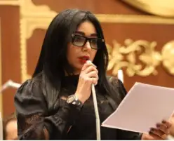 ريهام عفيفي: نحتاج حلولا جذرية للمشكلات الاستثمارية