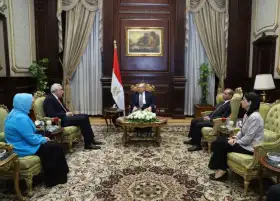 رئيس مجلس الشيوخ يستقبل السفير العراقي بالقاهرة