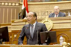 النائب علي مهران : إنضمام مصر رسميا للبريكس تجسيد لنجاح  علاقات مصر بالدول الأعضاء بمصر