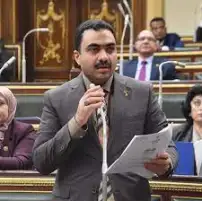 البرلمان يتهم الحكومة بالتقصير فى مواجهة الكيانات التعليمية الوهمية