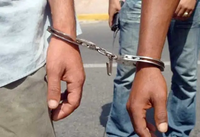 القبض على المتهمين بتقييد 11 كلبا داخل أجولة وإلقائها أمام فندق شهير بمنطقة أكتوبر