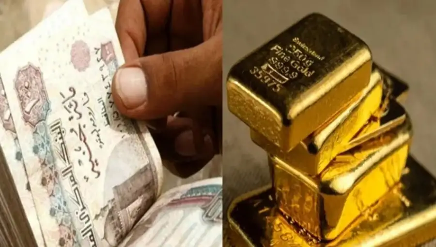 التموين: طرح سندات ذهبية يوفر 15 مليار دولار.. وندرس إنشاء منطقة تجارة حرة