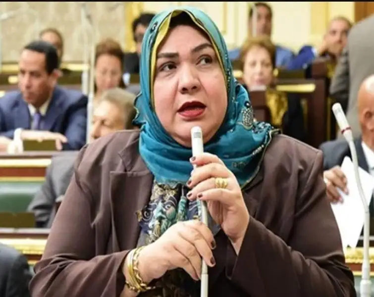 النائبة أمل زكريا: يجب وضع خريطة تنمية حقيقية تتكامل بها مؤسسات الدولة