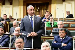 الطماوي: أنجزنا 90% من مواد «الإجراءات الجنائية» بينها التعويض عن الحبس الاحتياطي