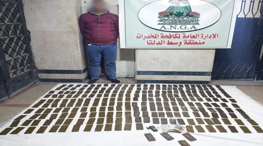 ضبط عاطل بحوزته 250 طربة حشيش بالغربية
