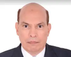 استشاري الحبوب بالفاو: زيادة واردات مصر من القمح بنسبة 14% بإجمالى 10.9 مليون طن