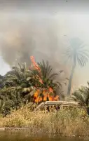 الحماية المدنية تسيطر على حريق بمحيط قصر كابريتاج حلوان