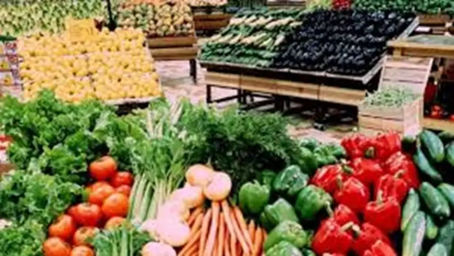 السفير الإيطالي: الحاصلات الزراعية المصرية يمكنها الوصول إلى الأسواق الأوروبية