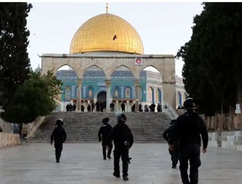 فلسطيني: عشرات المستعمرين يقتحمون المسجد الأقصى