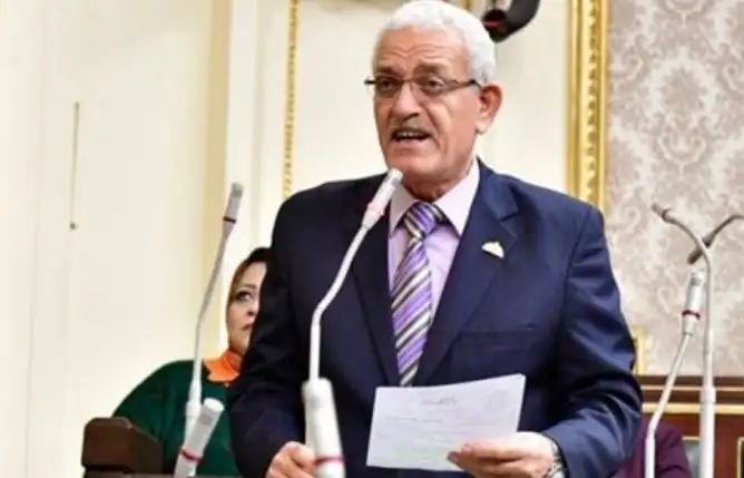 النائب عاطف مغاوري: التحية لجنوب إفريقيا قيادة وشعبا على انحيازهم للقضية الفلسطينية