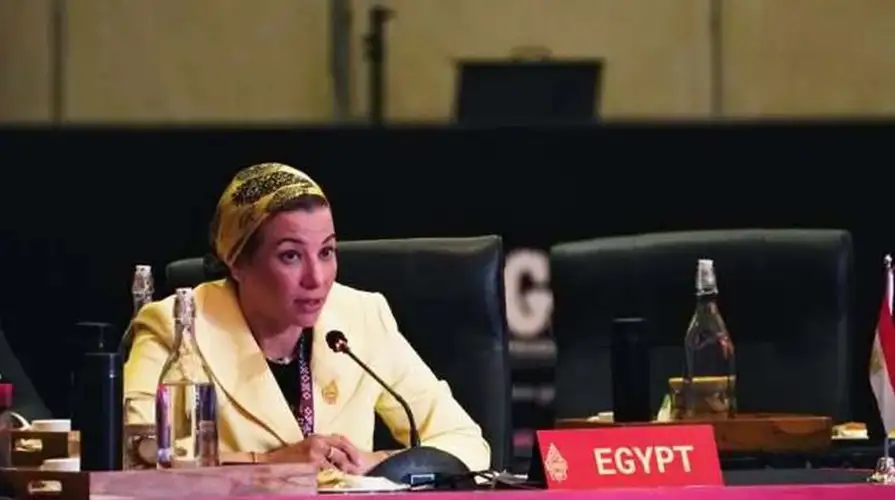 ياسمين فؤاد: التكامل بين الحكومة والمجتمع المدني ضروري لمواجهة التحديات البيئية
