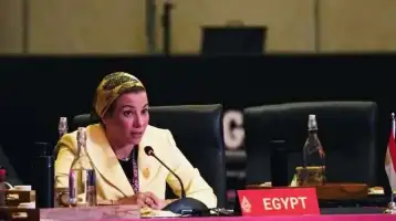 ياسمين فؤاد: التكامل بين الحكومة والمجتمع المدني ضروري لمواجهة التحديات البيئية