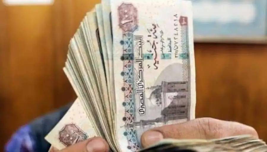 عاجل.. السيسي يوجه الحكومة بزيادة أجور العاملين بالدولة بحد أدنى يتراوح بين 1000 إلى 1200 جنيه شهريا