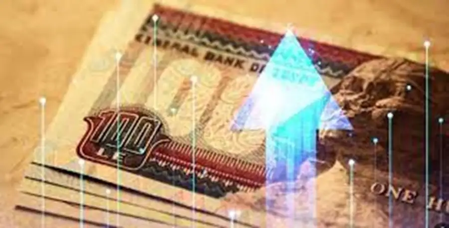 محللون: رفع تقديرات العائد على أدوات الدين الحكومية إلى 23.5% غير كافٍ