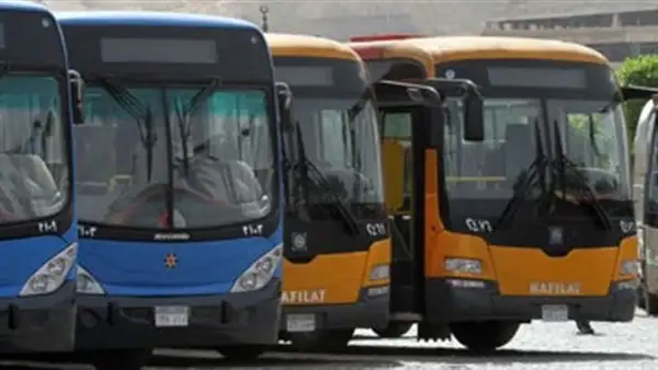 حلول للسياسات البديلة يناقش كفاءة منظومة النقل في مصر والتزامها بالشروط البيئية