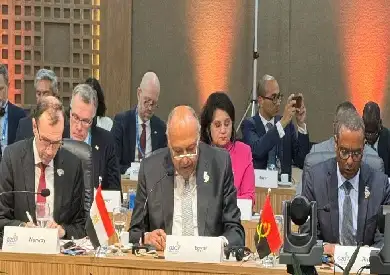 شكري: النظام الدولي فشل بسبب الإخفاق في وضع حد لحرب غزة