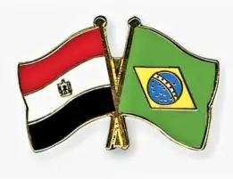 مصر والبرازيل يؤكدان ضرورة بناء نظام دولي أكثر ازدهارا وديمقراطية بمناسبة مرور 100 عام على تأسيس علاقاتهما