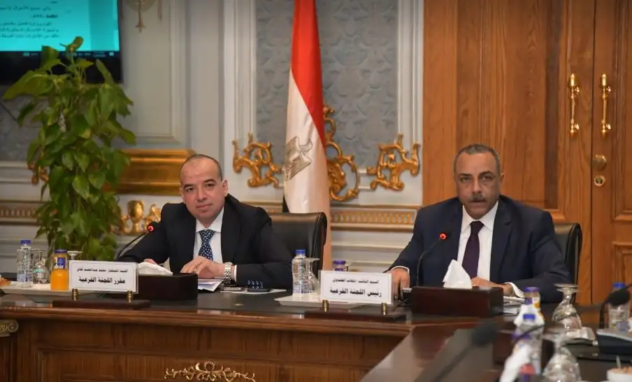 لجنة صياغة مشروع قانون الإجراءات الجنائية تكثف اجتماعاتها لوضع الصياغة النهائية