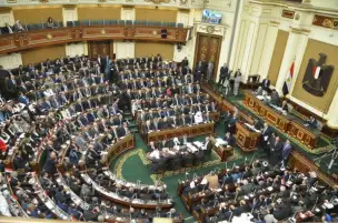 النائبة آمال رزق تطالب بحل مشكلة المتضررين من الإعلان الـ14 للإسكان الاجتماعي