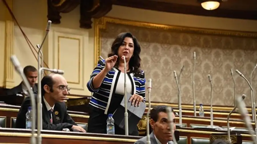 النائبة أميرة العادلي تنتقد مشروع تعديل قانون المالية الموحد