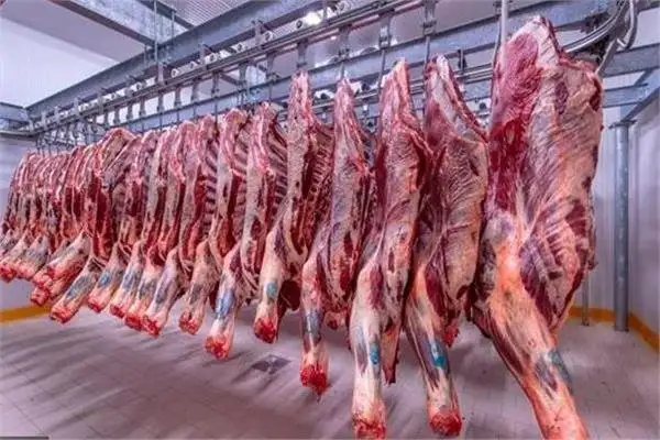 عضو شعبة القصابين: سعر اللحوم البلدي بالمنافذ الخاصة تتراوح بين 400 و450 جنيها