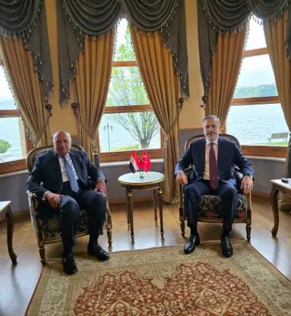 شكري: مصر مستمرة في جهودها لوقف فوري لإطلاق النار بغزة لحماية أرواح الفلسطينيين
