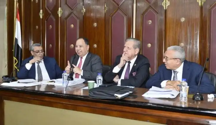وزير المالية: تعيين 120 ألف شاب خلال العام المالي المقبل