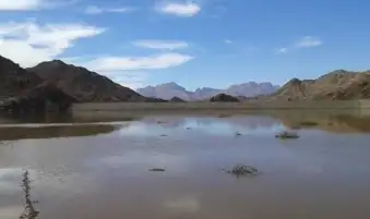 عاجل...وزير الري: تحقيق التنمية الشاملة بسيناء من خلال العديد من المشروعات الكبرى في مجال الموارد المائية