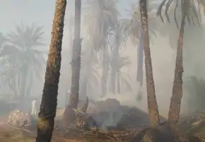 السيطرة على حريق اندلع في زراعات النخيل بمدينتي دراو وادفو