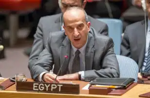 مندوب مصر بالأمم المتحدة: نطالب بإدانة ورفض العمليات العسكرية في رفح ووقفها فورًا