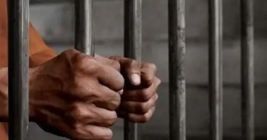المؤبد لسائق قتل زميله بعد مشاجرة بينها في شبرا الخيمة بالقليبوبية
