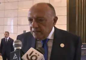 وزير الخارجية: مصر ستتصدى لأي محاولات تؤثر سلبيا على أمنها المائي