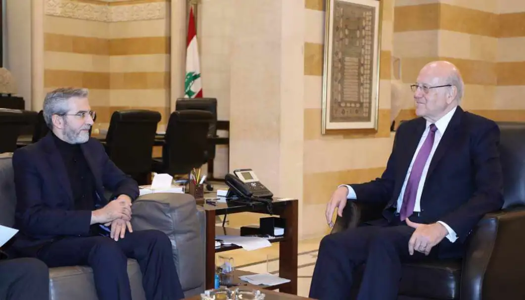 رئيس حكومة تصريف الأعمال اللبنانية ووزير الخارجية الإيراني بالإنابة يبحثان العلاقات الثنائية