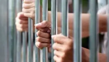 حبس 3 عاطلين لسرقتهم الهواتف المحمولة من المواطنين عن طريق المغافلة بالوايلي