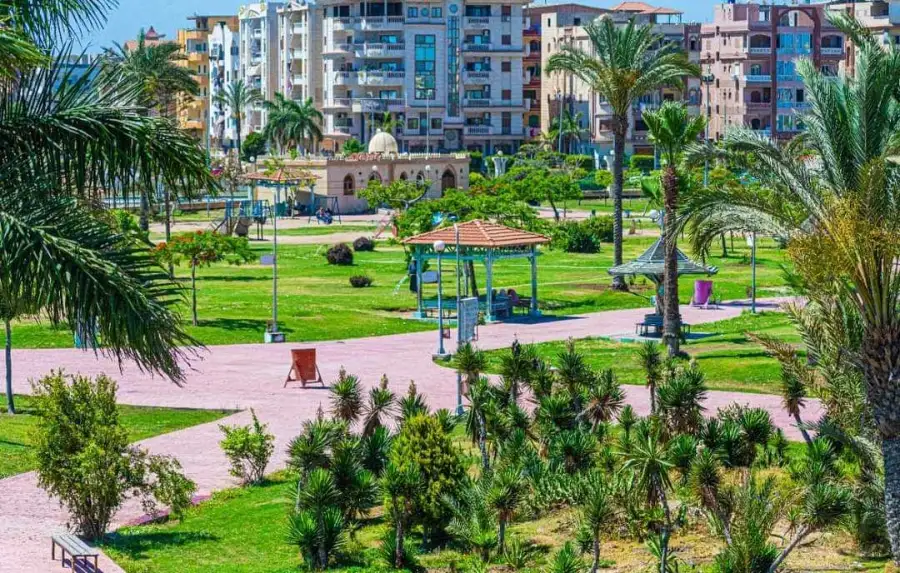 الإسكان: زراعة أكثر من مليون م2 مسطحات خضراء بدمياط الجديدة