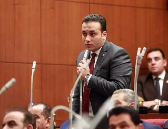 النائب عمرو فهمي: ثورة 30 يونيو أنقذت مصر من السقوط في نفق الفوضى