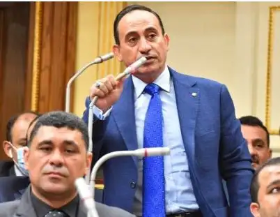 طلب إحاطة لإلغاء وقف الإفراج الجمركي عن سيارات ذوي الهمم