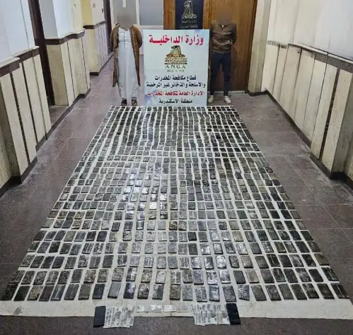 السجن 15 عاما وغرامة 10 آلاف جنيه لمتهم بحيازة 100 طربة حشيش في الإسكندرية