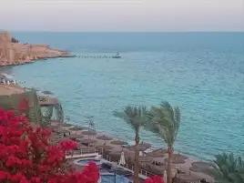 شركات السياحة تحذر من تغول الكيانات غير شرعية فى السوق السياحى