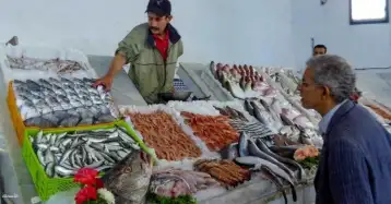 أسعار الأسماك بسوق العبور للجملة اليوم