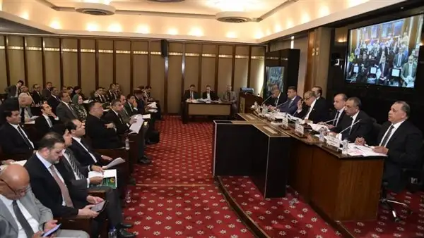 النائبة أميرة أبو شقة عن قانون الإجراءات الجنائية: تشريعية النواب تقوم بعمل جليل بما يتواكب مع الدستور