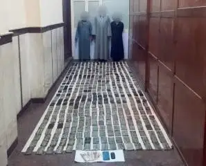 القبض على 4 عناصر إجرامية بحوزتهم مخدرات تقدر بـ5 ملايين جينه في الإسكندرية والمنيا