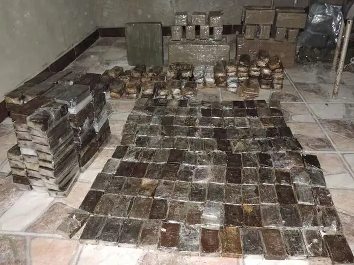 ضبط متهم بحيازة 12 كيلو حشيش مخدر في الإسكندرية