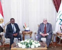 رئيس مجلس الدولة يبحث التعاون مع المدير الإقليمي لمجموعة البنك الدولي