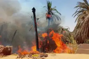 السيطرة على حريق في مزارع نخيل بقرية بولاق بالوادي الجديد