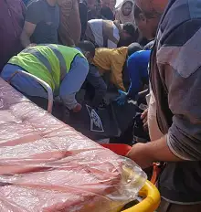 لقي طالب مصرعه بعدما صدمه قطار أثناء عبوره مزلقان مركز الواسطى في محافظة بني سويف.